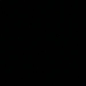 Meet your Posher, Noah